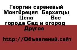 Георгин сиреневый. Монтбреция. Бархатцы.  › Цена ­ 100 - Все города Сад и огород » Другое   